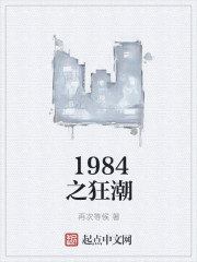 1984狂潮顶点小说手机版